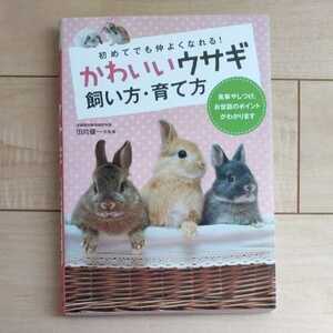  west higashi company rice field direction . one * lovely rabbit .. person .. person * photograph ..... rear .. breeding book@...