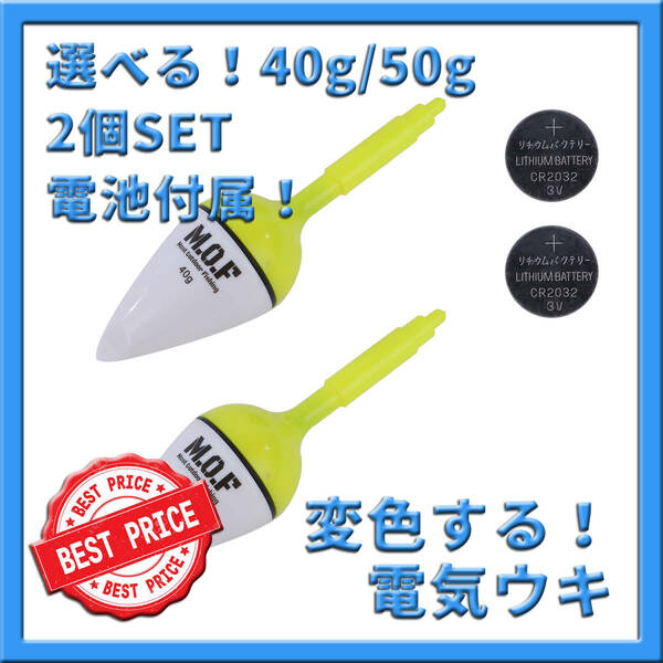 40g/50g混合！変色電気ウキ 2個セット 電池付属！沈むと色が変わる LED サビキウキ 飛ばしウキ