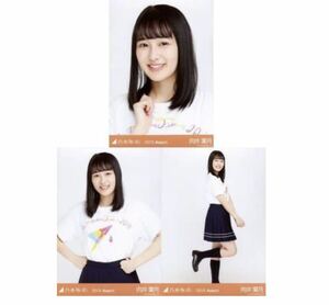 208》乃木坂46 生写真 3枚　コンプ　公式グッズ　ヨリチュウヒキ　向井葉月　全ツ2019共通Tシャツ　乃木坂46 2019.August