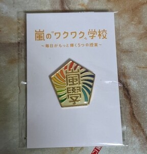 嵐 嵐のワクワク学校 ピンバッジ