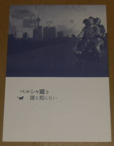 『ペルシャ猫を誰も知らない』プレスシート・B５/バフマン・ゴバディ監督