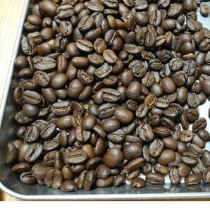 グアテマラSHB 中深煎り400g