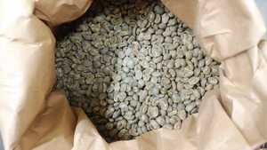 コーヒー生豆100g×4袋(ブラジル,コロンビア,グアテマラ,タンザニア)