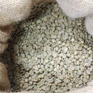 コーヒー生豆100g×6袋(ブラジル,コロンビア,グアテマラ各200g)