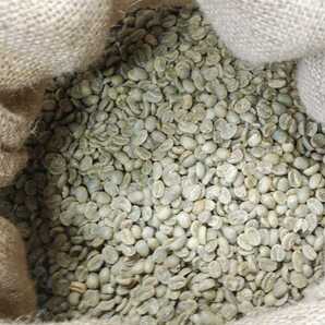コーヒー生豆100g×8袋(ブラジル,コロンビア,グアテマラ,マンデリン)