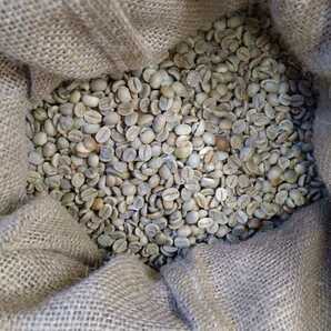 コーヒー生豆ブラジルNo2スクリーンサイズ18　800g