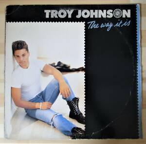 最終出品価格）ＴＲＯＹ　ＪＯＨＮＳＯＮ　☆　１２インチ　ＴＨＥ　ＷＡＹ　ＩＴ　ＩＳ