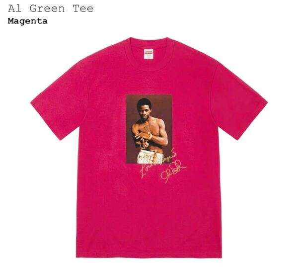 Supreme Al Green Tee シュプリーム アル グリーン Tシャツ