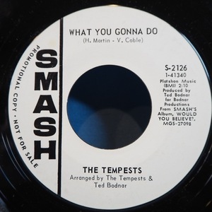 ■45'sシングル! SMASH 白プロモ!★TEMPESTS/CANT GET YOU OUT/WAHT YO GONNA★送料無料(条件有り)多数出品中!★オリジナル名盤■