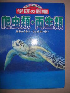 ★学研の図鑑　ＮＥＷ　ＷＩＤＥ　爬虫類・両生類　大型本 ： 日本や世界の両生・爬虫類を約６００種収録 ★学研 定価：\2,200 