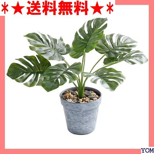 激安人気新品 人工観葉植物 約180センチ 都内引き取り限定 その他 Www Sanjaycomedy Com