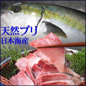 天然ブリの値段と価格推移は 13件の売買情報を集計した天然ブリの価格や価値の推移データを公開 天然ブリの値段と価格推移は 13件の売買情報を集計した天然ブリの価格や価値の推移データを公開