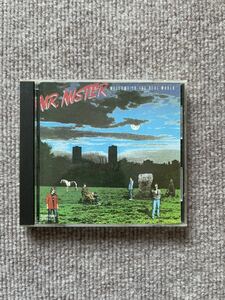 Mr.ミスター「ウエルカム・トゥ・ザ・リアル・ワールド」　中古CD　帯無し　全10曲　国内盤　Mr.MISTER　キリエ　KIRIE　ビルボード