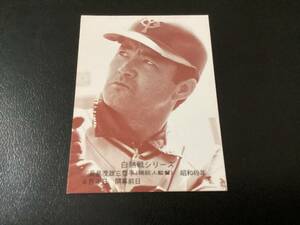  Home Ran card Calbee 75 year sepia length island (. person )No.571 Professional Baseball card 