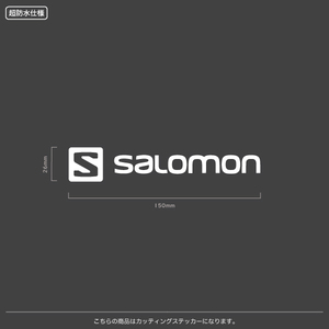 SALOMON_サロモン【02】【15cm】カッティングステッカー