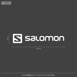 SALOMON_サロモン【03】【20cm】カッティングステッカー