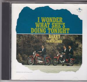 CD『 I Wonder What She's Doing Tonight / Barry & The Tamerlanes 』バリーとタマレーンズ オールディーズ