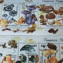 レア1994年ルーマニアキノコマッシュルーム切手シートセット_画像2