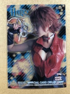 原幹恵　さくら堂 2008　ハニー　BOX-1　スペシャルクリアカード　水着 グラビア アイドル トレカ トレーディングカード