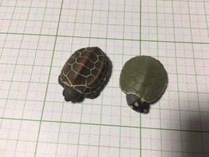 ヤフオク ゼニガメ 生き物 フィギュア の落札相場 落札価格 ヤフオク ゼニガメ 生き物 フィギュア の落札相場 落札価格