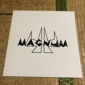 44 マグナム　ACTOR 国内盤レコード【ジャパニーズ・メタル】豪華特典つき