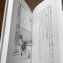 ひまり2.3ミリの夏　大野 圭子（作）古味 正康（絵）文研出版　[as37]_画像2