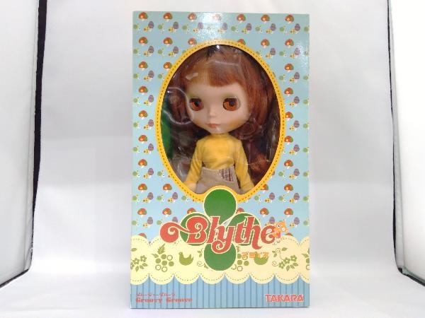 ヤフオク! -「ブライス グルーヴィーグルーヴ」の落札相場・落札価格