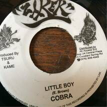 Tsuru & kame 5枚セット ジャパレゲ 7インチ シングル レコード レゲエ #c033111 minmi lukie d Carleton anthony b_画像6