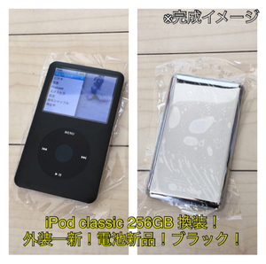 iPod Classic 160GB → SDXC 256 ГБ замена! Черт! Новая экстерьер! Большая вместимость!