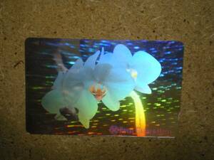 horo* Royal garden hotel orchid tent gram telephone card 