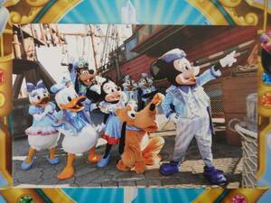 即決♪新品未使用♪東京ディズニーシー 15周年記念 グランドフィナーレ 実写 ポストカード♪TDR TDL TDS♪2017