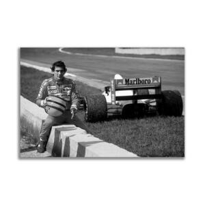 アイルトン・セナ F1 ポスター ボード パネル フレーム 75x50cm 車 レーシングカー グッズ 絵 雑貨 写真 フォト アート Ayrton Senna 3