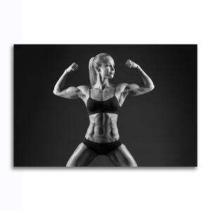 フィットネス ポスター ボード パネル フレーム 75x50cm 女性 女 筋肉 マッチョ ジム ボディビル ボディビルダー グッズ 写真 インテリア 7