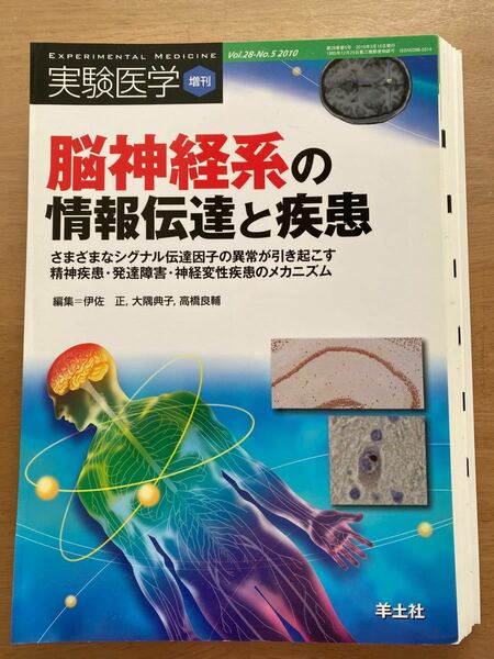 【裁断済】脳神経系の情報伝達と疾患