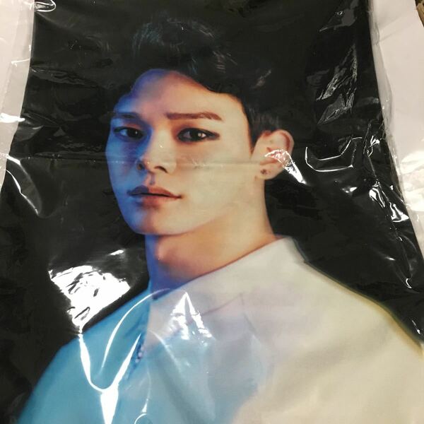 送料込み　EXO　チェン　PHOTO INITIAL CUSHION-CHEN　クッションカバー　ピローカバー　抱きまくら(カバー)　公式グッズ　韓国SM