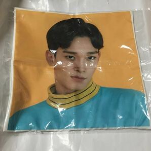 送料込み　EXO　チェン　CUSHION COVER-CHEN　クッションカバー　公式グッズ　韓国SM　K-POP