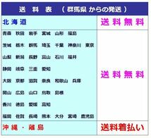 ◆送料無料 B1s◆　9.5分山　225/55R17　101V　SEIBERLING　SL201　夏２本　※2020年製_画像9