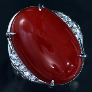F1355 逸品日本産大粒血赤珊瑚２１．０×１４．４mm 天然絶品ダイヤモンド０．１９ct 最高級Pt900無垢セレブリティリング