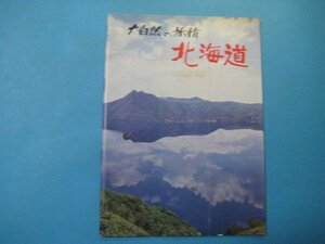 ba3059旅行案内　大自然の旅情北海道　東邦交通株式会社　33頁