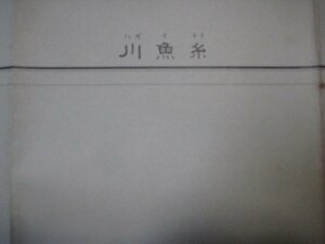 g350昭和23年5万分1地図　新潟県　糸魚川　地理調査所