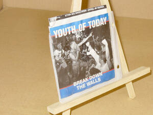 YOUTH OF TODAY/BREAK DOWN THE WALLS/80年代USハードコアパンク