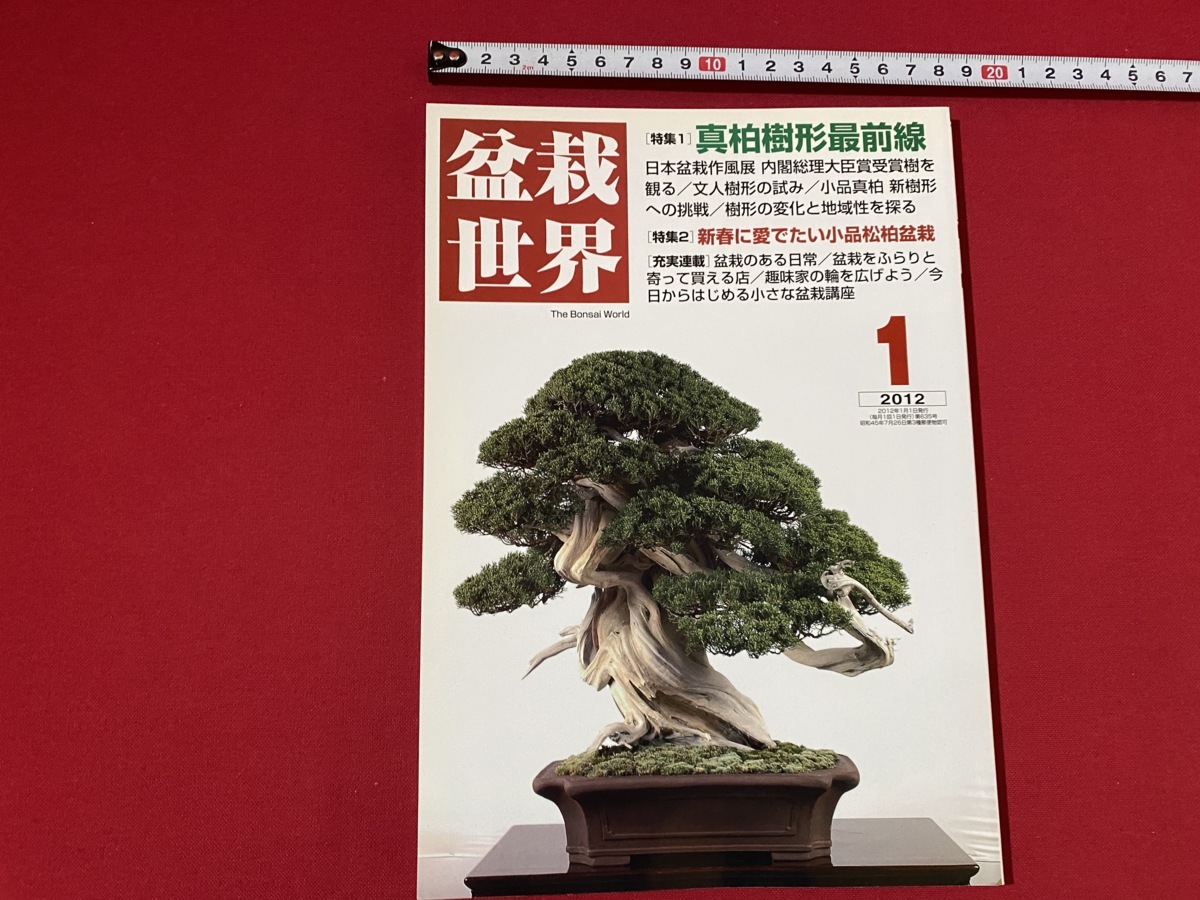 新品・未使用】プレミアム 貴重盆栽登録樹集 - omercadolocal.com オンライン限定商品 貴重盆栽登録樹集 【新品・未使用】プレミアム 趣味/スポーツ/実用