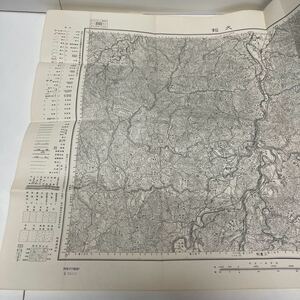 古地図 地形図 五万分之一 地理調査所 昭和29年応急修正 昭和32年発行 犬飼 大分県