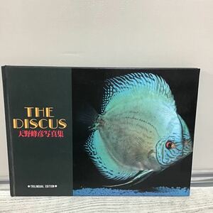 THE DISCUS heaven ... photoalbum gorgeous book@re⑧ green bookstore regular price 3200 jpy 