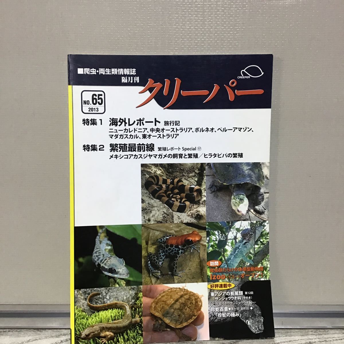 使い勝手の良い】 爬虫類両生類情報誌 クリーパー 創刊号 趣味/スポーツ