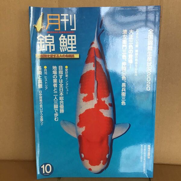 月刊 錦鯉 2020.10 ① 錦鯉生産状況2020 錦鯉の銘血を辿る 愛好家インタビュー 清左衛門三色 仲園三色 長兵衛三色 愛麟会 品評会 錦彩出版