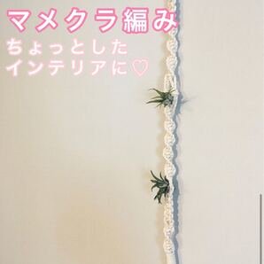 プラント プラントハンガー エアプランツホルダー 観葉植物 マクラメ 三つ穴 植物 雑貨 マクラメ編み エアープランツ