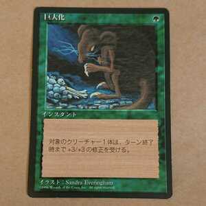 MTG マジック ザ ギャザリング 巨大化 日本語 黒枠 緑