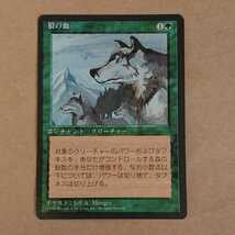 MTG マジック ザ ギャザリング 狼の血 日本語 黒枠 緑_画像1