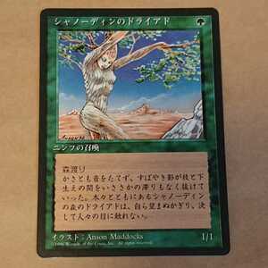 MTG マジック ザ ギャザリング シャノーディンのドライアド 日本語 黒枠 緑